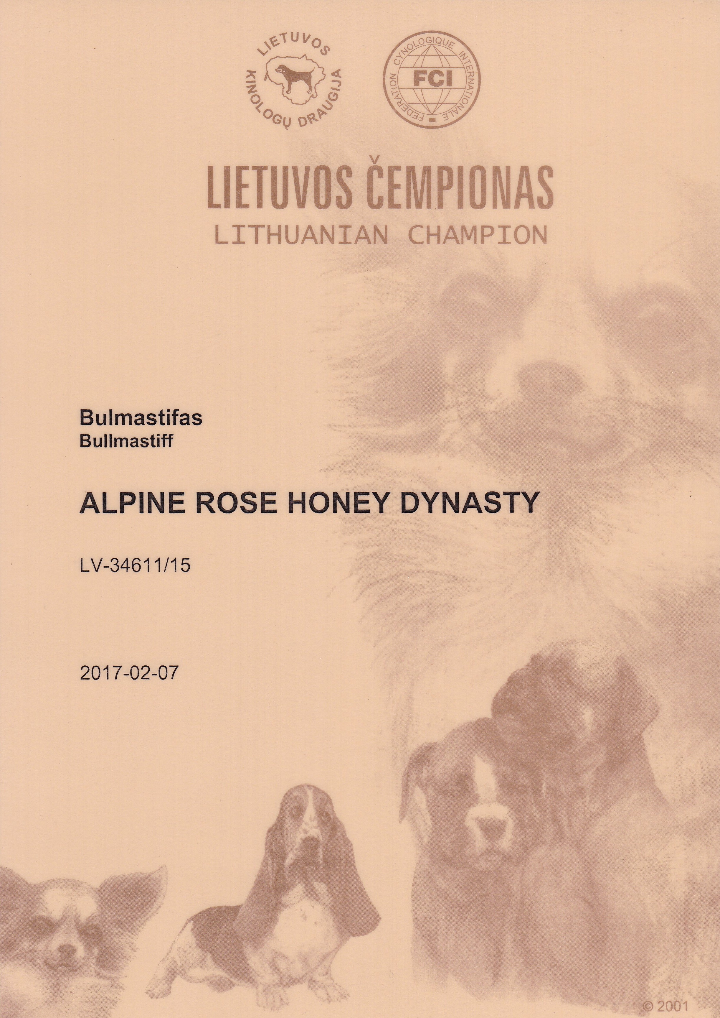 Alpine Rose Honey Dynasty Dogs Honey Dynasty Bullmastiffs From Latvia